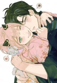 Cover 63528