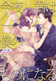 Cover 63838