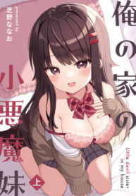 Cover 64137