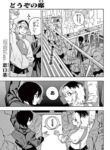 Cover 64335