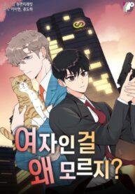 Cover 64355