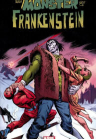 Cover 64582