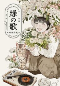 Cover 65280