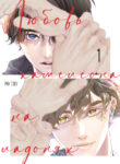 Cover 65282