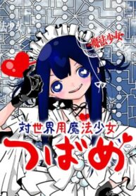 Cover 65324