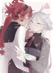 Cover 65527