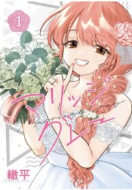 Cover 66224
