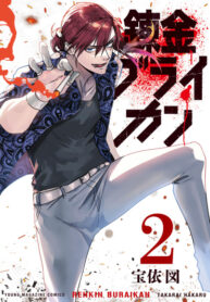 Cover 66240