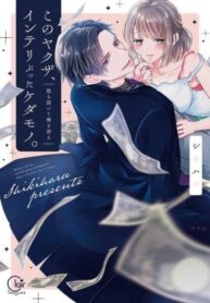 Cover 66260