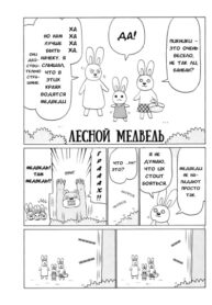 Cover 66541