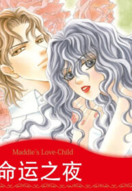 Cover 66804
