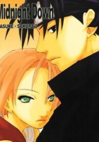 Cover 66828