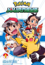 Cover 67446