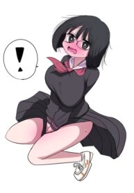 Cover 67660