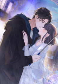 Cover 67733