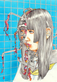Cover 68354
