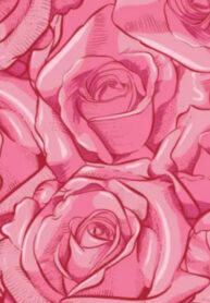 Cover 68732