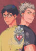 Cover 69035