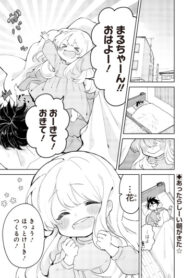 Cover 69077