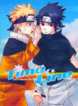 Cover 70824