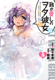 Cover 70889