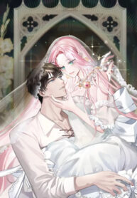 Cover 70904