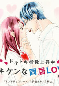 Cover 71273