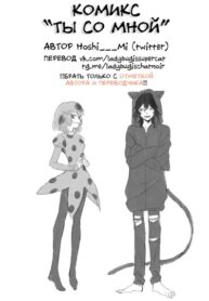 Cover 71317