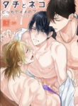 Cover 71387