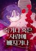Cover 71754