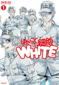 Cover 71778