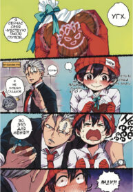 Cover 72104