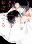 Cover 72133