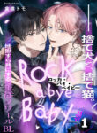 Cover 72335