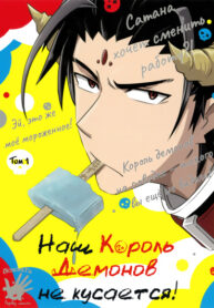 Cover 72661