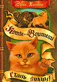 Cover 73257