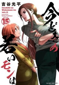 Cover 73346
