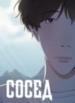 Cover 73441