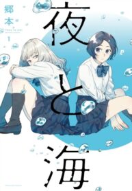 Cover 73953