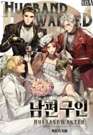 Cover 74804
