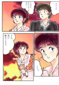Cover 75480