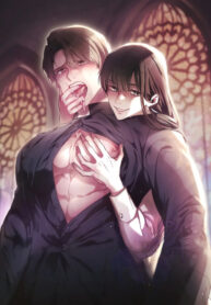 Cover 76511