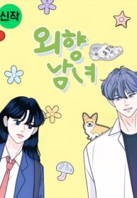 Cover 77041