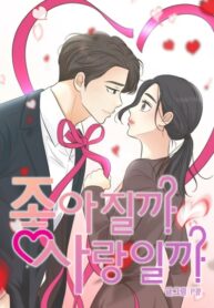 Cover 77275