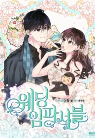 Cover 77279