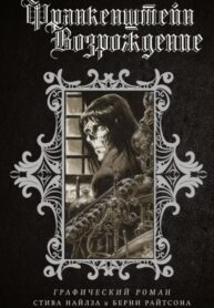 Cover 77381
