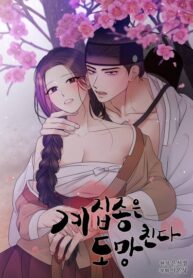 Cover 78050