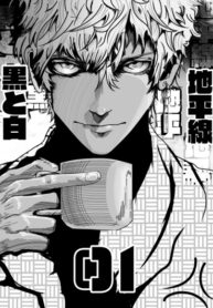 Cover 78544