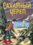 Cover 78783