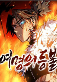 Cover 78855